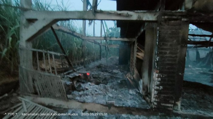 Kandang ayam di Desa Gondoharum, Kecamatan Jekulo, Kudus ludes terbakar, Kamis (29/5/2025).