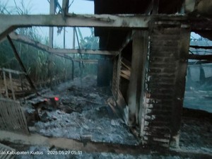 Kandang Ayam di Kudus Ludes Terbakar, Anak Pemilik Luka Bakar