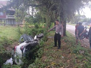 Mobil Serempet Pohon-Jatuh ke Parit di Jalan Poros Pangkep-Barru, Sopir Tewas