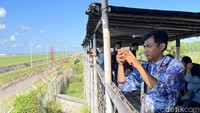 Pengunjung datang dari berbagai wilayah di Kulon Progo dan sekitarnya. Ada juga komunitas pemburu foto pesawat yang turut meramaikan momen ini.