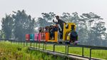 Kereta Sawah Kiangroke, Wisata Murah Bernuansa Alam