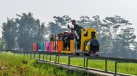 Pengunjung menikmati perjalanan dengan kereta sawah yang menyuguhkan panorama hijau khas pedesaan di Desa Kiangroke, Banjaran, Kabupaten Bandung, Jawa Barat, Kamis (29/5/2025). ANTARA FOTO/Raisan Al Faris