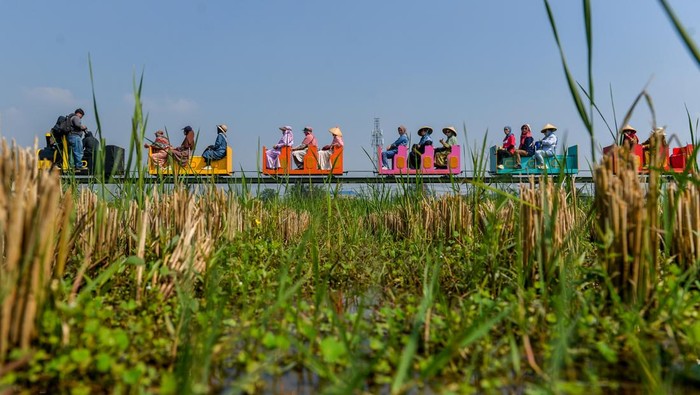 Pengunjung menaiki kereta di Desa Wisata Kiangroke, Banjaran, Kabupaten Bandung, Jawa Barat, Kamis (29/5/2025). Warga bekerja sama dengan pemerintah Desa Kiangroke, Kecamatan Banjaran untuk membuat wahana kereta api di tengah ladang persawahan yang ditujukan sebagai salah satu langkah menciptakan lapangan pekerjaan bagi warga sekitar dan meningkatkan kunjungan wisatawan serta memberikan alternatif wisata bagi masyarakat dengan tarif Rp15.000 satu putaran. ANTARA FOTO/Raisan Al Farisi/rwa.