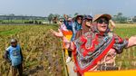 Kereta Sawah Kiangroke, Wisata Murah Bernuansa Alam