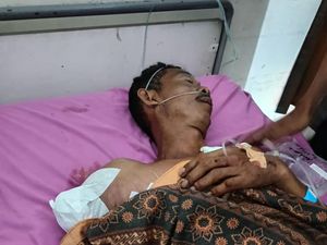 Peternak Udang di OKI Kehilangan Tangan Usai Diterkam Buaya
