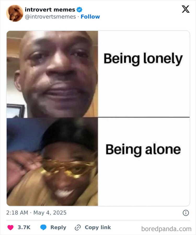 Kumpulan meme berikut ini pasti relate buat kaum introvert. Siapa yang introvert dan merasakan hal yang sama, coba absen di kolom komentar.