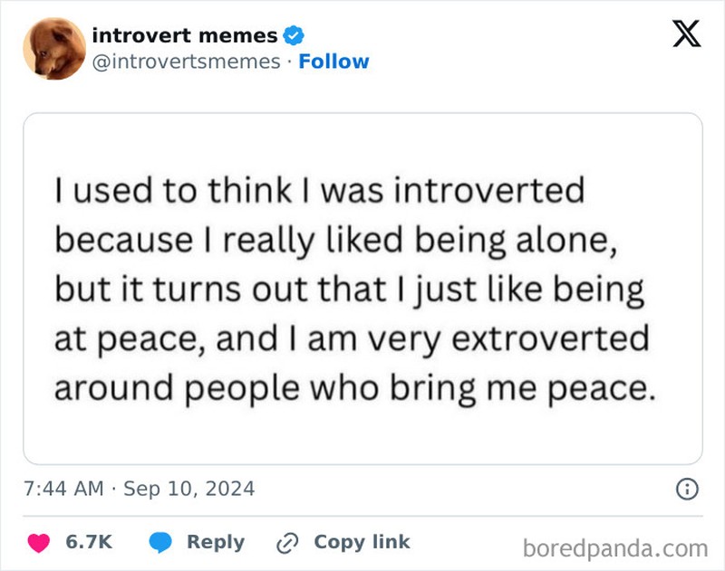 Kumpulan meme berikut ini pasti relate buat kaum introvert. Siapa yang introvert dan merasakan hal yang sama, coba absen di kolom komentar.