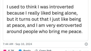 Ekstrovertnya dengan orang-orang tertentu saja. Foto: introvertsmemes via Bored Panda  