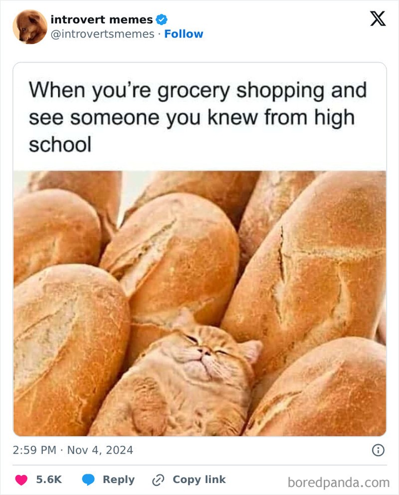 Kumpulan meme berikut ini pasti relate buat kaum introvert. Siapa yang introvert dan merasakan hal yang sama, coba absen di kolom komentar.