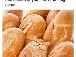 Kumpulan Meme yang Relate untuk Kaum Introvert, Kamu Termasuk?