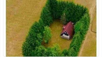 Rumah idaman para introvert. Foto: introvertsmemes via Bored Panda  