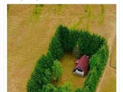 Kumpulan Meme yang Relate untuk Kaum Introvert, Kamu Termasuk?