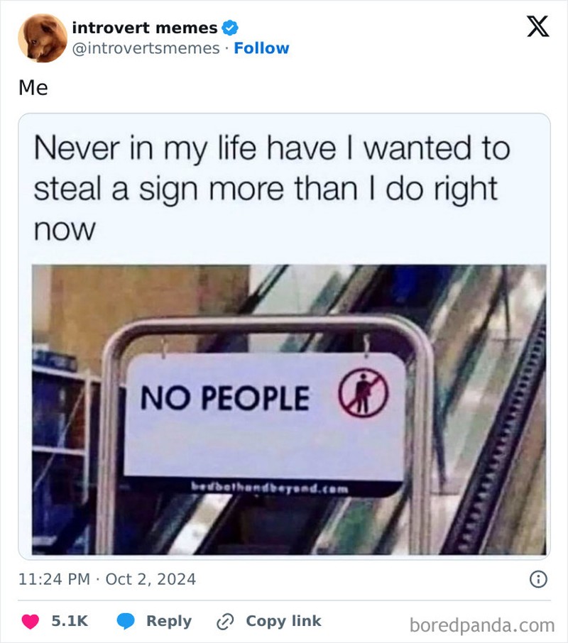 Kumpulan meme berikut ini pasti relate buat kaum introvert. Siapa yang introvert dan merasakan hal yang sama, coba absen di kolom komentar.