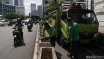 Menengok Perawatan Tanaman di Jalur Sepeda Sudirman