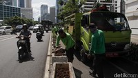 Petugas Dinas Pertamanan menggemburkan tanah sebelum menanam. 