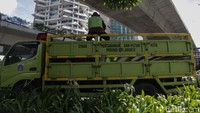 Petugas juga melakukan perawatan di jalur hijau pedestrian Sudirman. 
