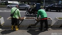Perawatan tanaman dilakukan secara rutin untuk menjaga estetika. 
