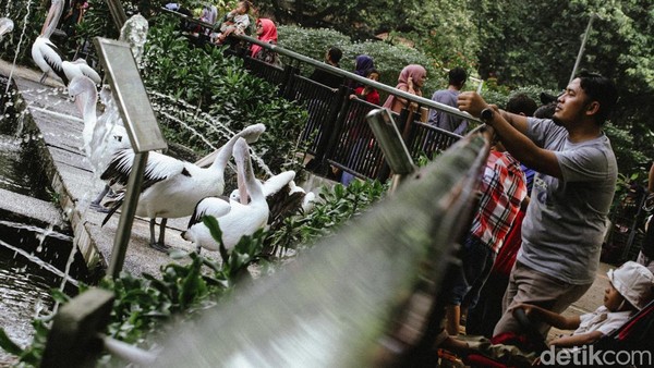 Menikmati Long Weekend di Taman Margasatwa Ragunan