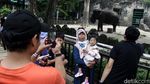 Menikmati Long Weekend di Taman Margasatwa Ragunan