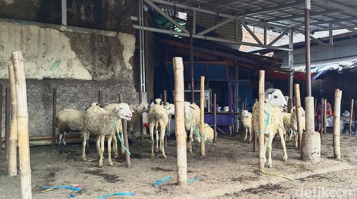 Pasar hewan di Cianjur