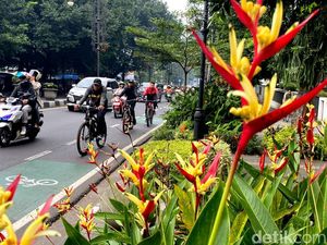 Kayuhan Sepeda dan Segarnya Udara Pagi di Jalan Dago Bandung