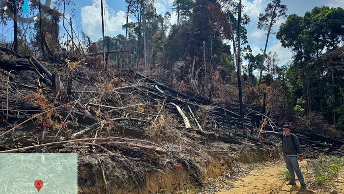 Potret lahan di area Hutan Produksi Terbatas (HPT) Rokan Hulu, Riau yang terbakar. Tiga pelaku ditangkap polisi.