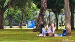Rekreasi Murah Meriah di Lapangan Banteng Jakarta