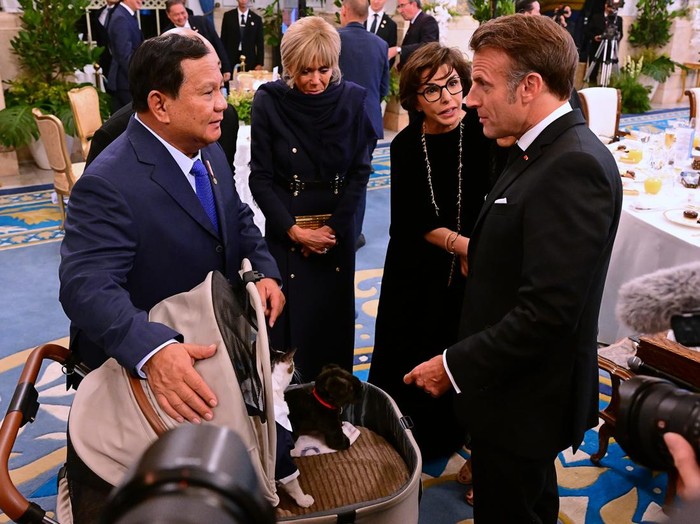 Kucing Presiden Prabowo Subianto Bobby Kertanegara muncul saat jamuan makan malam bersama Presiden Prancis Emmanuel Macron dan Ibu Negara Brigitte Macron di Istana Negara, Jakarta. Macron dan Brigitte pun tampak menghampiri Bobby.