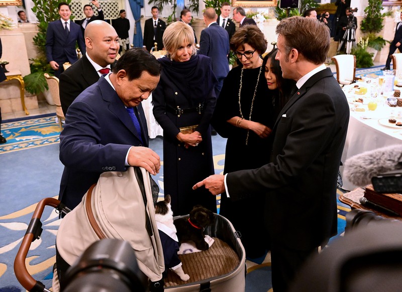 Kucing Presiden Prabowo Subianto 'Bobby Kertanegara' muncul saat jamuan makan malam bersama Presiden Prancis Emmanuel Macron dan Ibu Negara Brigitte Macron di Istana Negara, Jakarta. Macron dan Brigitte pun tampak menghampiri Bobby.