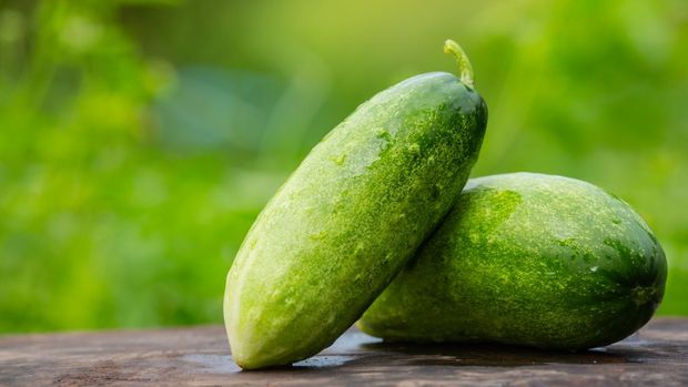 Timun atau Mentimun Timun atau Mentimun