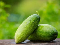 5 Cara Menanam Timun di Rumah yang Mudah, Dijamin Berbuah Lebat!