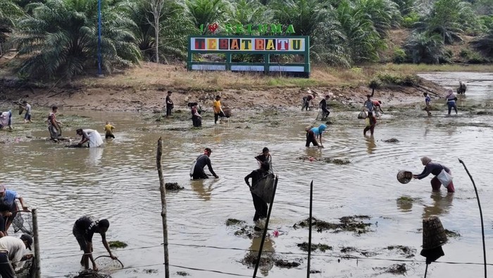 Tradisi Nangguak Tebat di Seluma.