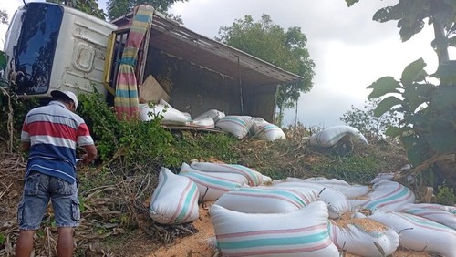 Truk jagung yang disopiri kades terbalik di Bima, NTB, Kamis (29/5/2025).
