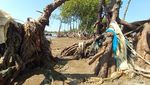 Potret Pantai Balongan yang Penuh Sampah dan Abrasi Parah