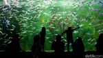 Aksi Putri Duyung Hibur Pengunjung Ocean Dream Ancol