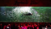 Selain pertunjukan putri duyung, penyelam profesional turut memeriahkan acara dengan aksi memberi makan ikan dan memperagakan gerakan akrobatik dalam air. Kolaborasi antara mermaid dan penyelam menciptakan pertunjukan visual yang atraktif dan mendidik.