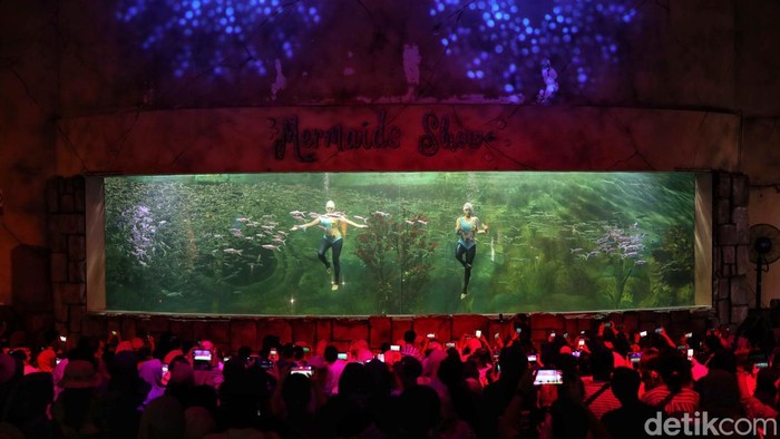 Sejumlah pengunjung menikmati pertunjukan Mermaid Show dan penyelam di Ocean Dream Samudra Ancol, Jakarta Utara, Jumat (30/5/2025).