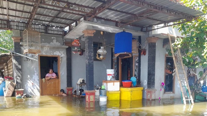 Banjir rob melanda permukiman warga Desa Tunggulsari Kecamatan Tayu, Jumat (30/5/2025).