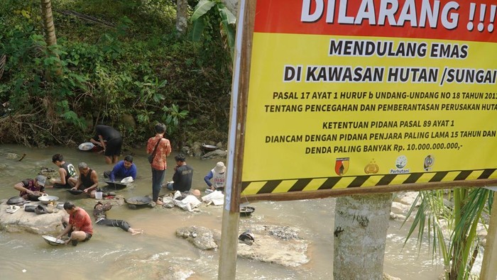 Pendulang emas menunjukkan butiran logam mulia hasil pendulangan di Sungai Kalibambang, Desa Keboireng, Tulungagung, Jawa Timur, Kamis (29/5/2025).
Warga nekat berburu butiran emas di sungai tersebut meskipun kandungan logam mulia yang ditemukan sangat kecil yaitu tidak lebih dari 0,5 miligram per pendulang/hari dan sempat muncul larangan berburu emas di lokasi itu. ANTARA FOTO/Destyan Sujarwoko/rwa.