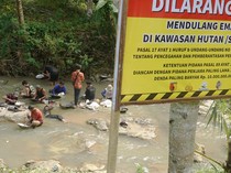 Demi Rupiah, Warga Nekat Berburu Emas Meski Sudah Dilarang