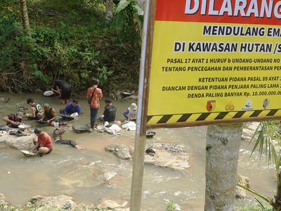 Demi Rupiah, Warga Nekat Berburu Emas Meski Sudah Dilarang