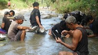 Setiap pendulang rata-rata hanya mendapatkan kurang dari 0,5 miligram emas per hari. Meski begitu, sebagian warga tetap bertahan karena menganggap kegiatan ini sebagai salah satu cara untuk menambah penghasilan di tengah keterbatasan ekonomi. (ANTARA FOTO/Destyan Sujarwoko)