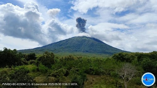 Gunung Ile Lewotolok di Lembata meletus, Jumat (30/5/2025). (Dok. PVMBG)