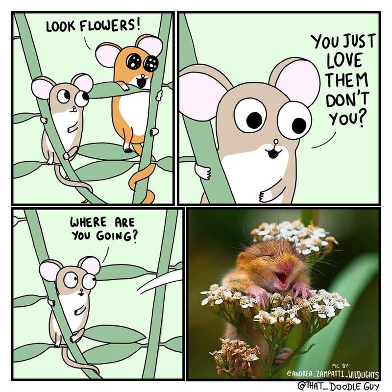 Untuk kalian yang sedang banyak pikiran, semoga sederet komik lucu ini bisa membuat harimu lebih berwarna.