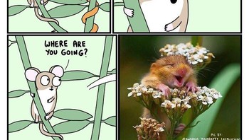 Meleng dikit langsung pindah tempat. Foto: Bored Panda