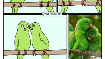 Namanya jurus andalan ini. Foto: Bored Panda