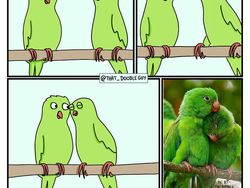 Komik Lucu dan Menggemaskan yang Bikin Harimu Lebih Ceria