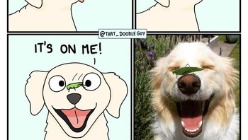 Ternyata eh ternyata bukan daun ya. Foto: Bored Panda