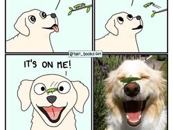 Komik Lucu dan Menggemaskan yang Bikin Harimu Lebih Ceria