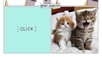 Pilih kanan atau kiri? Foto: Bored Panda